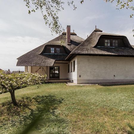 Ferienhaus Schilfvilla Mörbisch am See Dış mekan fotoğraf